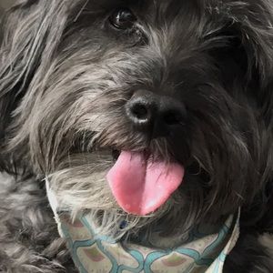 Meet your Posher, Shane